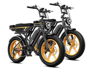 TST® Combo Sale R9 1500W Full-Suspension Moped Style Electric Bike